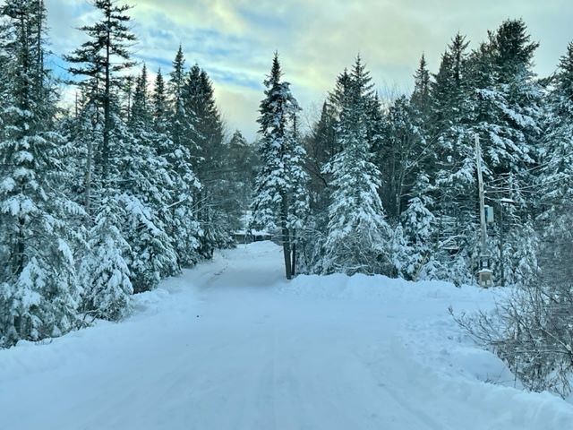 Photo of the snow-covered road in Woodford Lake Estates in the Winter